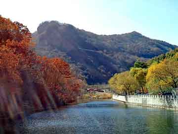 新澳天天开奖资料大全旅游团，天涯八卦论坛